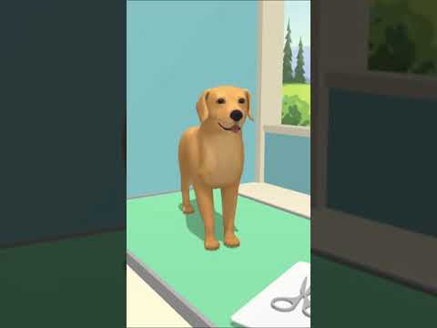 Paw Care Video