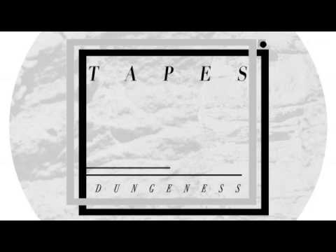 01 Tapes - Dungeness [Astro:Dynamics]