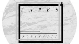 01 Tapes - Dungeness [Astro:Dynamics]