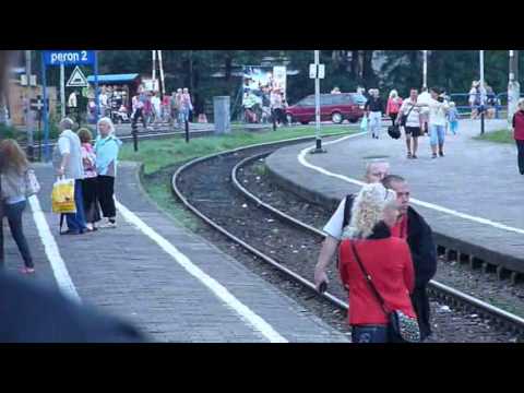 TLK - Twój Letni Koszmar