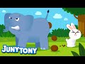 🐇Animal Poo Poo Song💩 | Whose Poop Is It?🐘 | Animal Song for Kids | K-pop kids song | JunyTony