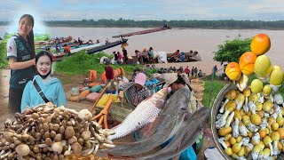 อาหารป่าเยอะมาก‼️ ตลาดนัดไทย-ลาว เปงจาน อำเภอรัตนวาปี จังหวัดหนองคาย #food #อาหาร