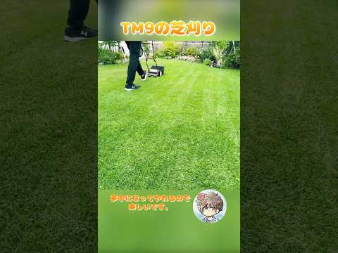 どうしたら綺麗な芝生になるのでしょうか？これらの実践的なヒントとアドバイスのおかげで、夢の芝生が手に入るでしょう。  庭園