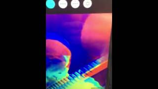 All the colors of the rainbow