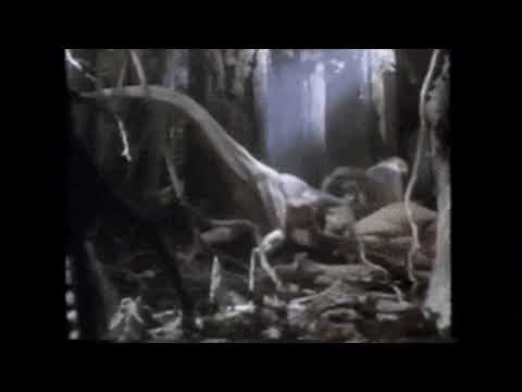 Velociraptor vs gallimimus