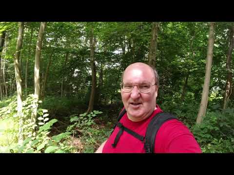 MongoTV_3116 - English Vlog_0041 - Lumber Station In Frederiksdal