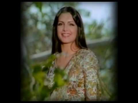 Hindi Moogy - Babi Doll [For Parveen Babi] 2009 Remix