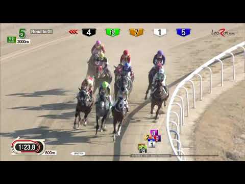 New Legend - Busan Racecourse - March 24, 2019