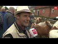 Marktmeester blij: ruim honderd dieren meer dan verwacht op Rodermarkt