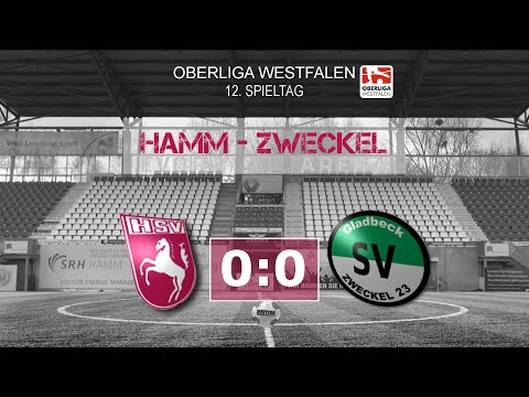 12. Spieltag 2015/16: Hammer SpVg - SV Zweckel 0:0