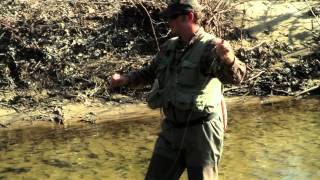 Steep Canyon Rangers - &quot;Meet The Steeps: Woody Platt&quot;