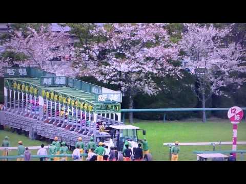 【馬基地TV】第75回 桜花賞 GⅠ(2015・04・12)【レース映像】