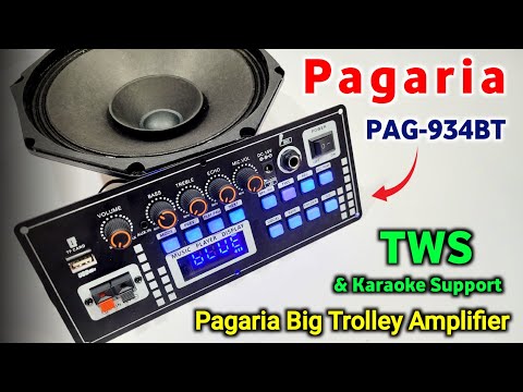 Pagaria PAG-934BT Big Trolley Audio Amplifier |  Mic Echo Function 12V DC Operating | You Like Ele.
