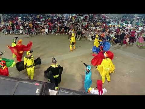 Fundación Juventud tierra folclórica , con la danza de los pájaros en Hatillo de loba 2025