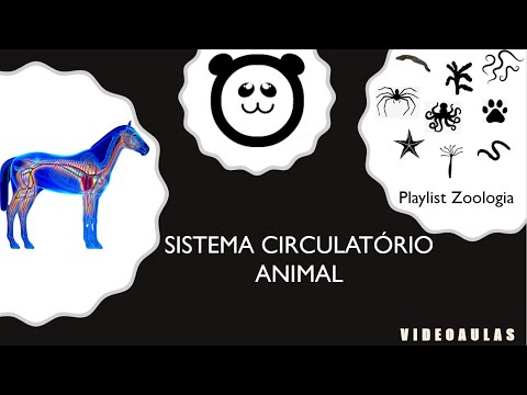 Animal Circulation