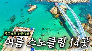 이번 7~8월에 가야 할 물놀이 포인트 14곳 추천!