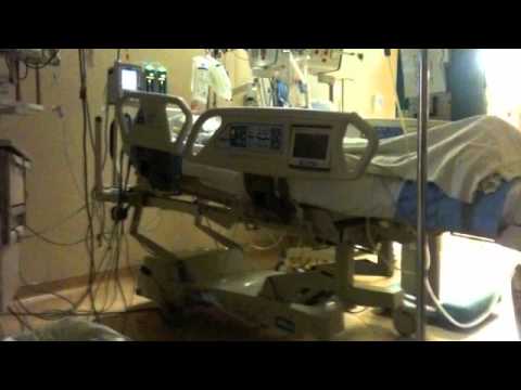 The Miracle of Katie