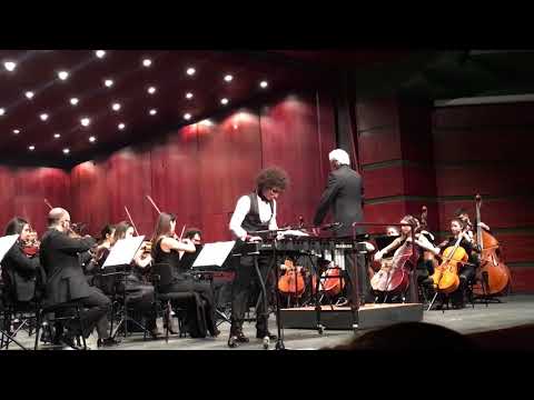 Efe Yaşar Hasan Rzayev Silofon Konçertosu