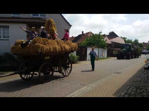 Historischer Festumzug in Wulferstedt 2017