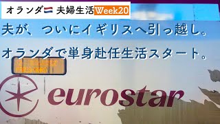 【新たな章の始まり】オランダで家族が引っ越し、単身赴任生活のスタート