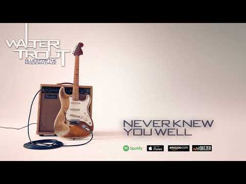 Never Knew You Well