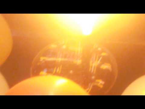 kasturi 1st b'day celibration....(2)