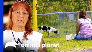 Tia's Most Ingenious Dog Rescue Moments | Pit Bulls & Parolees