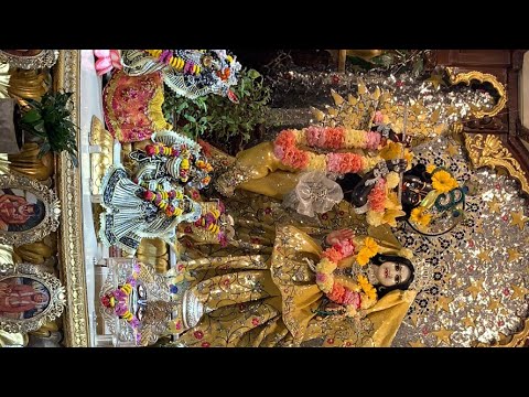 Srimad Bhagavatam 3.3.28 | HG Hari Vilasa Dasa