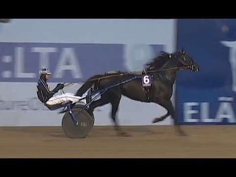 Helsinki-Ajo 2023 - Run For Royalty