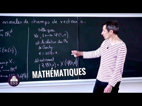 MATHÉMATIQUES : FORMES NORMALES DE CHAMPS DE VECTEUR