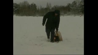 Рыболовные базы в нижнем новгород