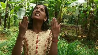 The Echoing Green  (William Blake)