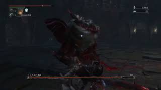 ボス戦のみ動画化していくBloodborne#04（中央トゥメル遺跡）
