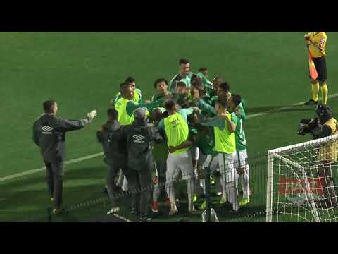 Chapecoense 1 x 0 Atlético MG gol Everaldo Série A 2019