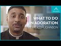 What Do We Do in Adoration?