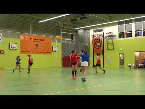 Rust Roest B1 korfbal tornooi 2017:    DSC - Tilburg