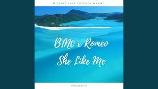 She Like Me (feat. Romeo)