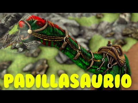 COMO TAMEAR PADILLASAURUS Y TODAS SUS HABILIDADES - ARK: ADDITIONAL CREATURES KAMI CREATIONS