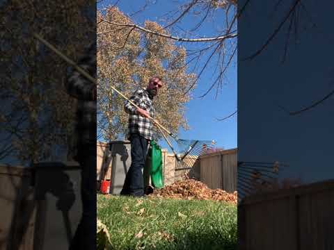 How to rake up leaves fast with Edward Rakeyhands