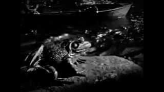 The Knife "Wrap your arms around me" (music video 2013)