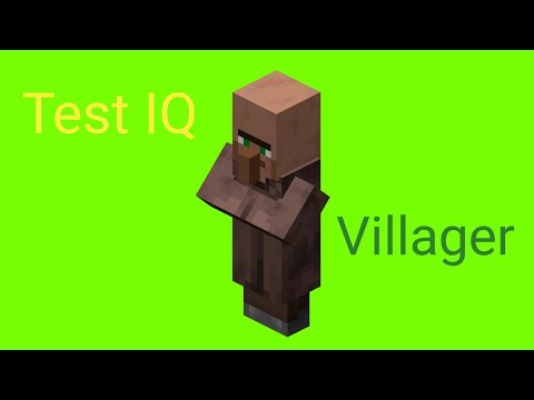 Minecraft - test di IQ del Villager