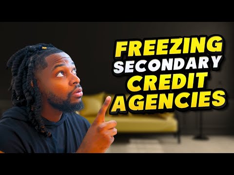 Freeze LexisNexis And These Credit Bureaus To Get MORE REMOVALS!! (2025)