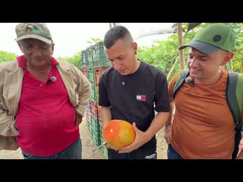 La Unión Valle El Paraíso De La Uva 