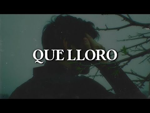 Sin Bandera - Que Lloro (Letra)