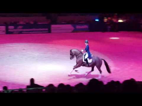 Valegro's farewell freestyle at the KWPN stallion show 2017 (part 2)