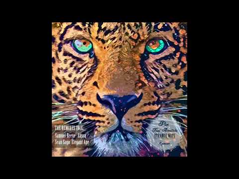 Pix  Feat.: Amatista-Strange Ways (Sean Sago Remix)