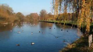 Magna Carta Stone & River @ Runnymede