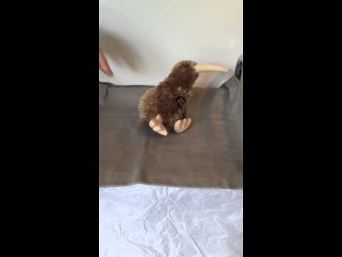 Brown Kiwi Bird Toy with Sound