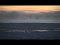 Steam rising off Lake Ontario during a minus 6 ...