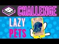 Boomerang Challenge Lazy Pets Challenge Boomerang UK
